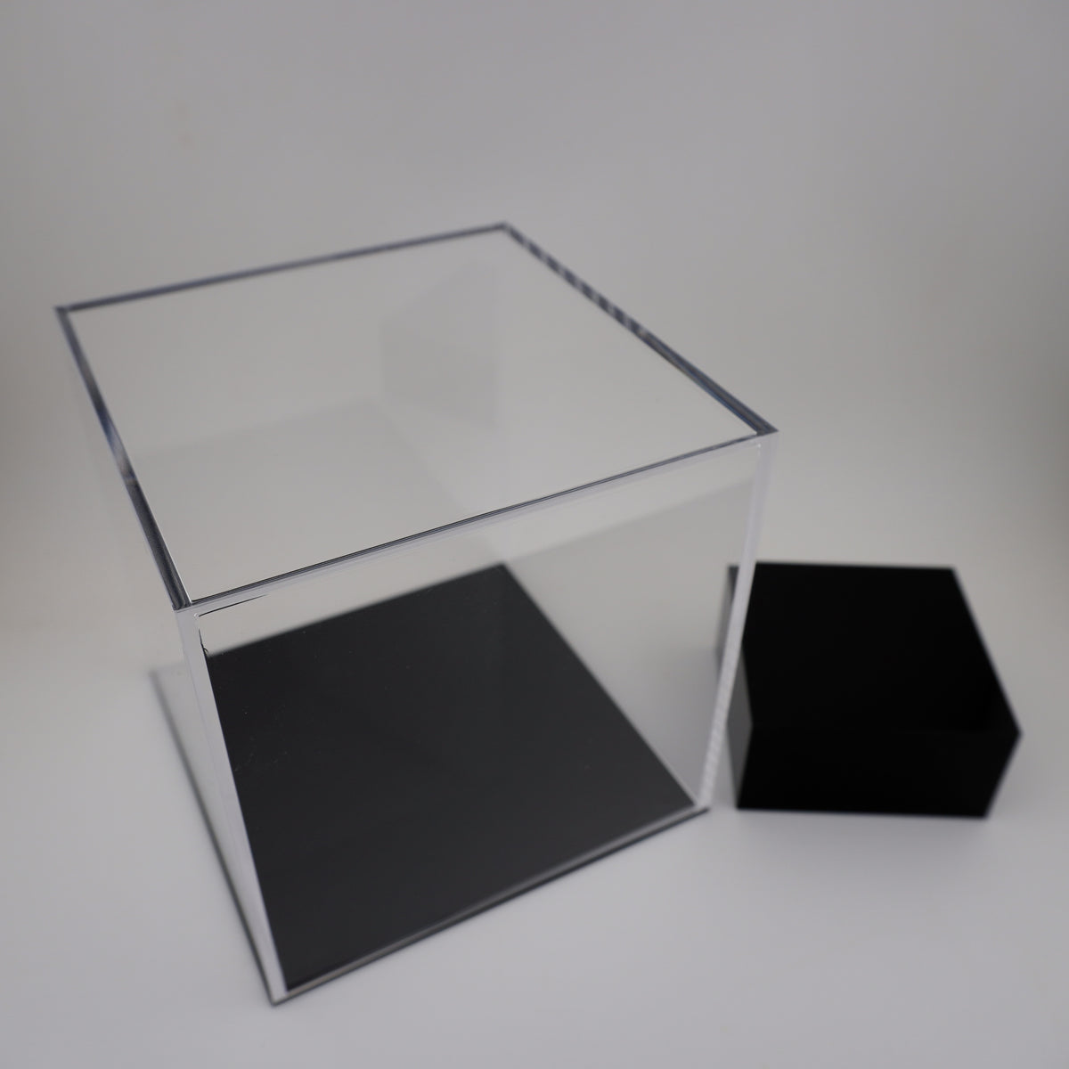 Display case with base, recommended insect size: up to 9 cm