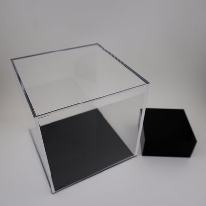 Display case with base, recommended insect size: up to 9 cm