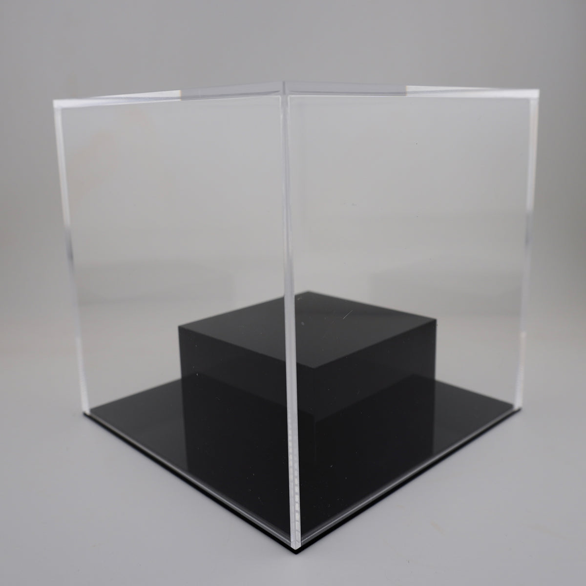 Display case with base, recommended insect size: up to 9 cm